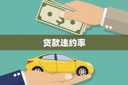 七美贷款违约率