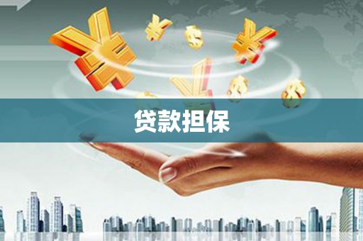七美贷款担保