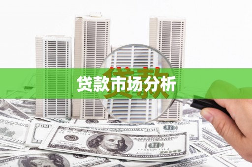 七美贷款市场分析