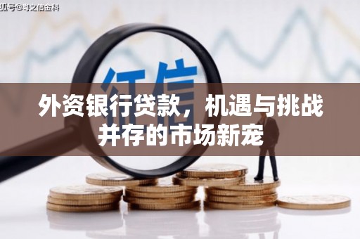七美外资银行贷款，机遇与挑战并存的市场新宠
