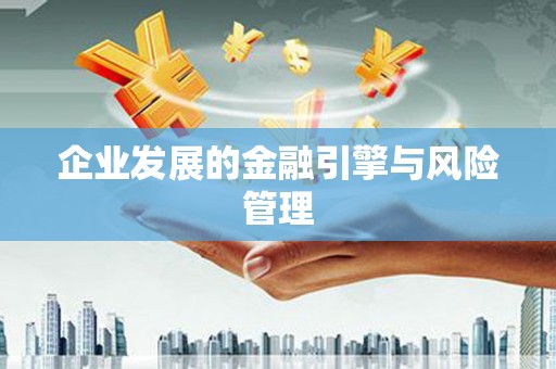 七美企业发展的金融引擎与风险管理