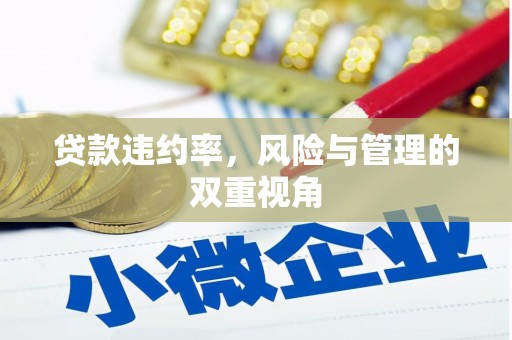 七美贷款违约率，风险与管理的双重视角