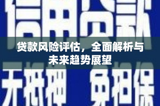 七美贷款风险评估，全面解析与未来趋势展望