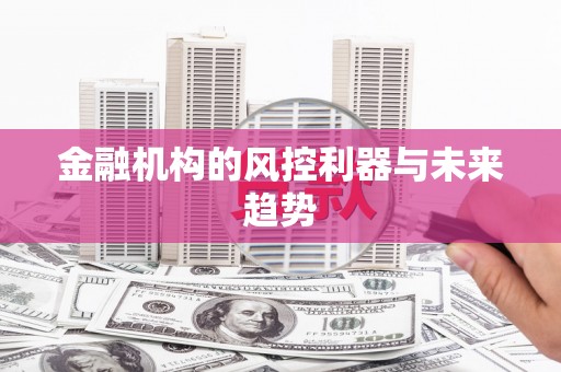 七美金融机构的风控利器与未来趋势