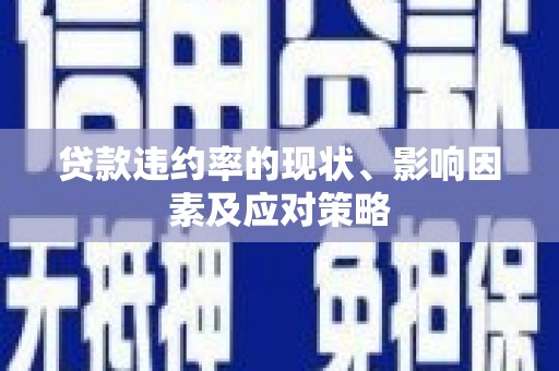 七美贷款违约率的现状、影响因素及应对策略