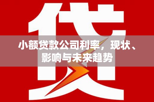 七美小额贷款公司利率，现状、影响与未来趋势