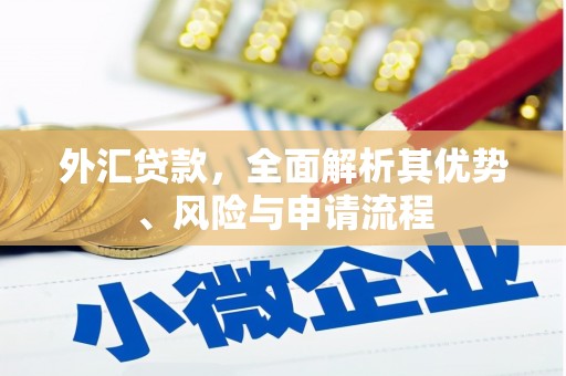 七美外汇贷款，全面解析其优势、风险与申请流程