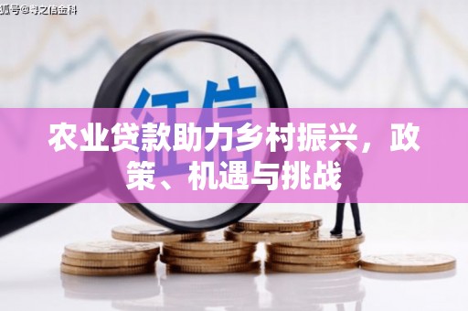 七美农业贷款助力乡村振兴，政策、机遇与挑战