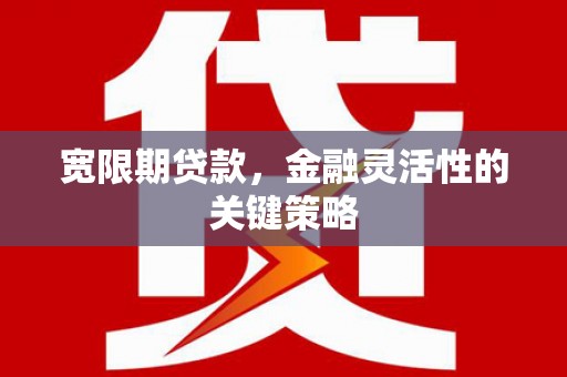 七美宽限期贷款，金融灵活性的关键策略