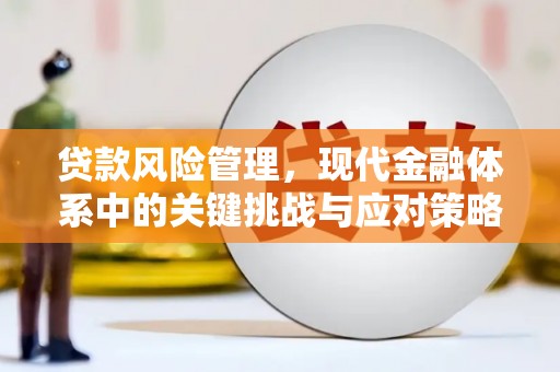 七美贷款风险管理，现代金融体系中的关键挑战与应对策略