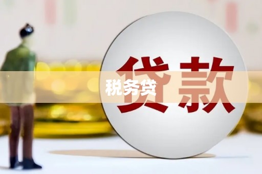 七美税务贷