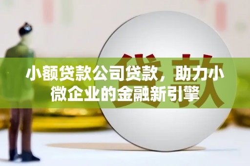 七美小额贷款公司贷款，助力小微企业的金融新引擎