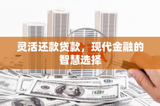 七美灵活还款贷款，现代金融的智慧选择