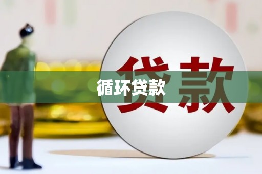 七美循环贷款