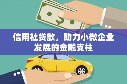 七美信用社贷款，助力小微企业发展的金融支柱