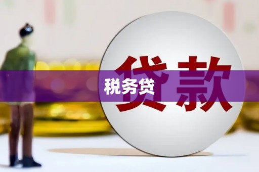 七美税务贷