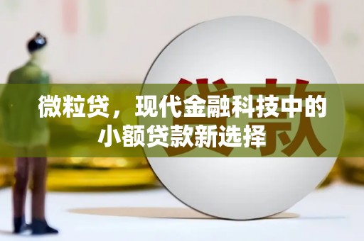 七美微粒贷，现代金融科技中的小额贷款新选择
