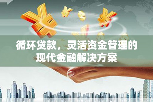 七美循环贷款，灵活资金管理的现代金融解决方案
