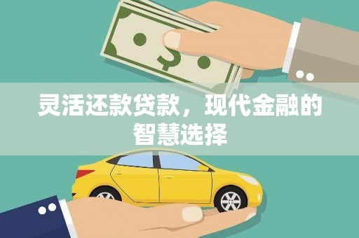 七美灵活还款贷款，现代金融的智慧选择