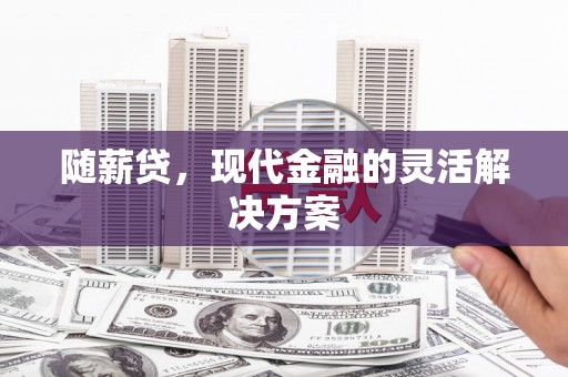七美随薪贷，现代金融的灵活解决方案