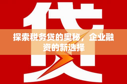 七美探索税务贷的奥秘，企业融资的新选择