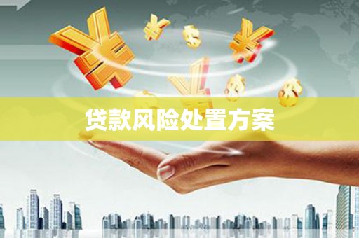 七美贷款风险处置方案