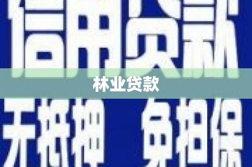七美林业贷款