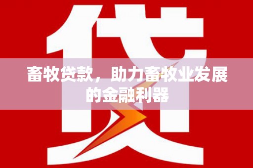 七美畜牧贷款，助力畜牧业发展的金融利器
