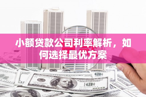 七美小额贷款公司利率解析，如何选择最优方案