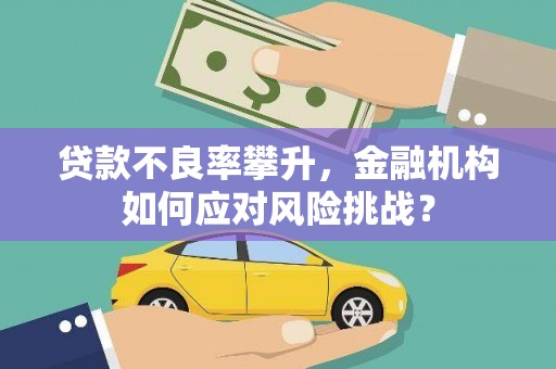 七美贷款不良率攀升，金融机构如何应对风险挑战？