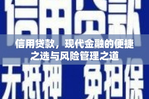 七美信用贷款，现代金融的便捷之选与风险管理之道