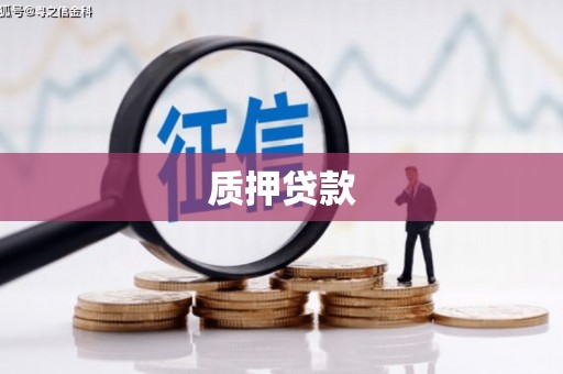 七美质押贷款