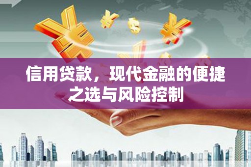 七美信用贷款，现代金融的便捷之选与风险控制