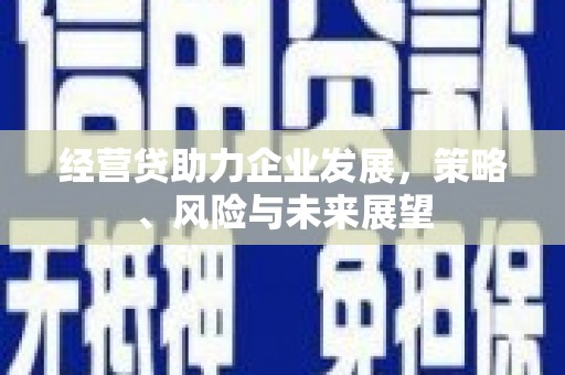 七美经营贷助力企业发展，策略、风险与未来展望