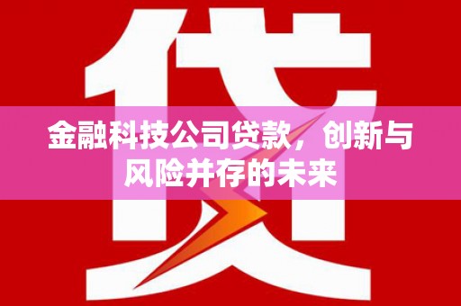 七美金融科技公司贷款，创新与风险并存的未来