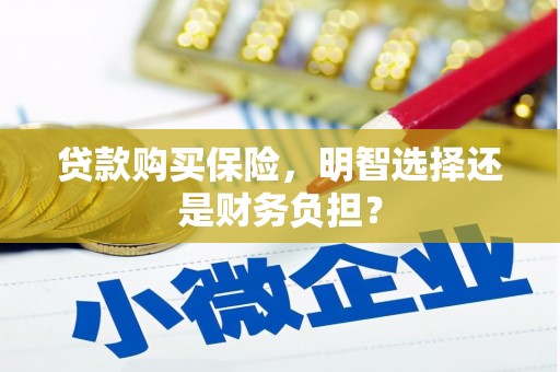 七美贷款购买保险，明智选择还是财务负担？
