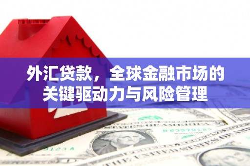 七美外汇贷款，全球金融市场的关键驱动力与风险管理