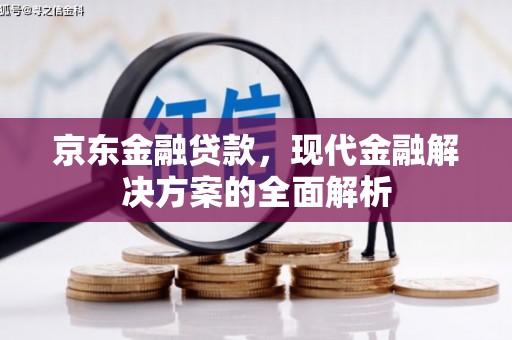 七美京东金融贷款，现代金融解决方案的全面解析