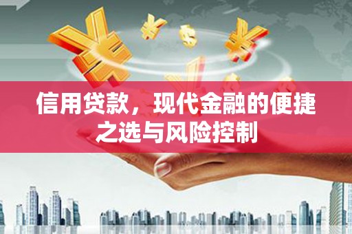七美信用贷款，现代金融的便捷之选与风险控制