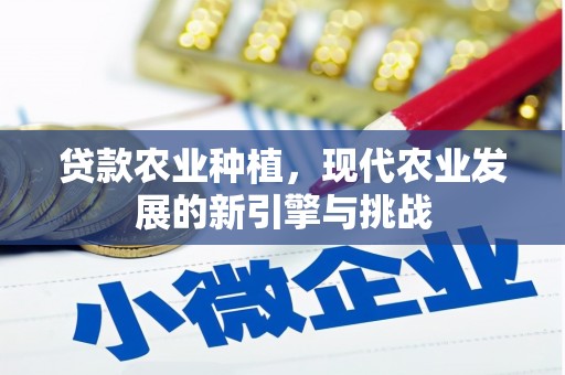 七美贷款农业种植，现代农业发展的新引擎与挑战