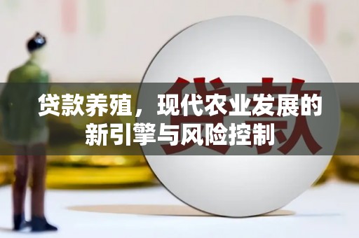七美贷款养殖，现代农业发展的新引擎与风险控制