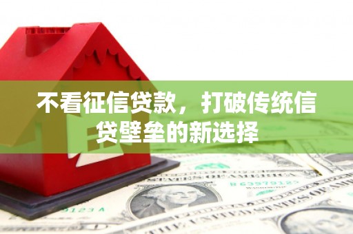 七美不看征信贷款，打破传统信贷壁垒的新选择