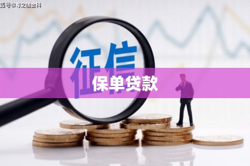 七美保单贷款