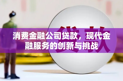 七美消费金融公司贷款，现代金融服务的创新与挑战