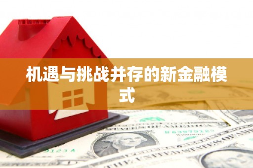 七美机遇与挑战并存的新金融模式