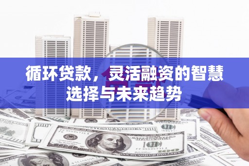 七美循环贷款，灵活融资的智慧选择与未来趋势