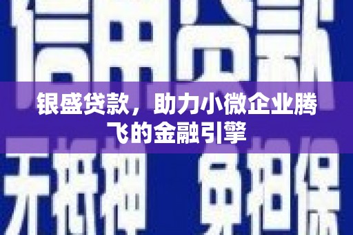 七美银盛贷款，助力小微企业腾飞的金融引擎