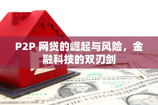 七美P2P 网贷的崛起与风险，金融科技的双刃剑