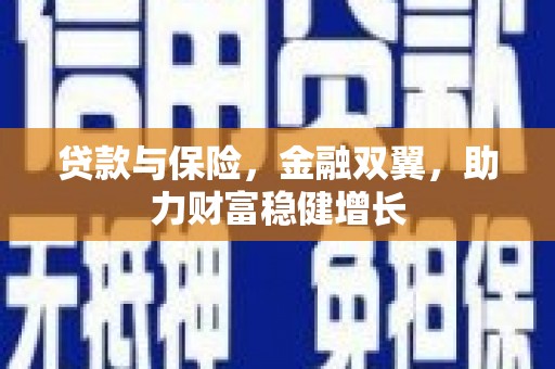 七美贷款与保险，金融双翼，助力财富稳健增长
