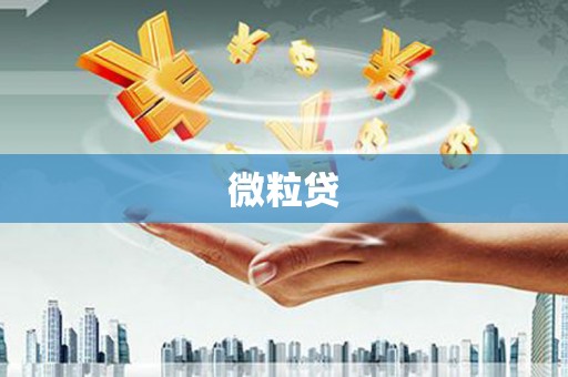 七美微粒贷